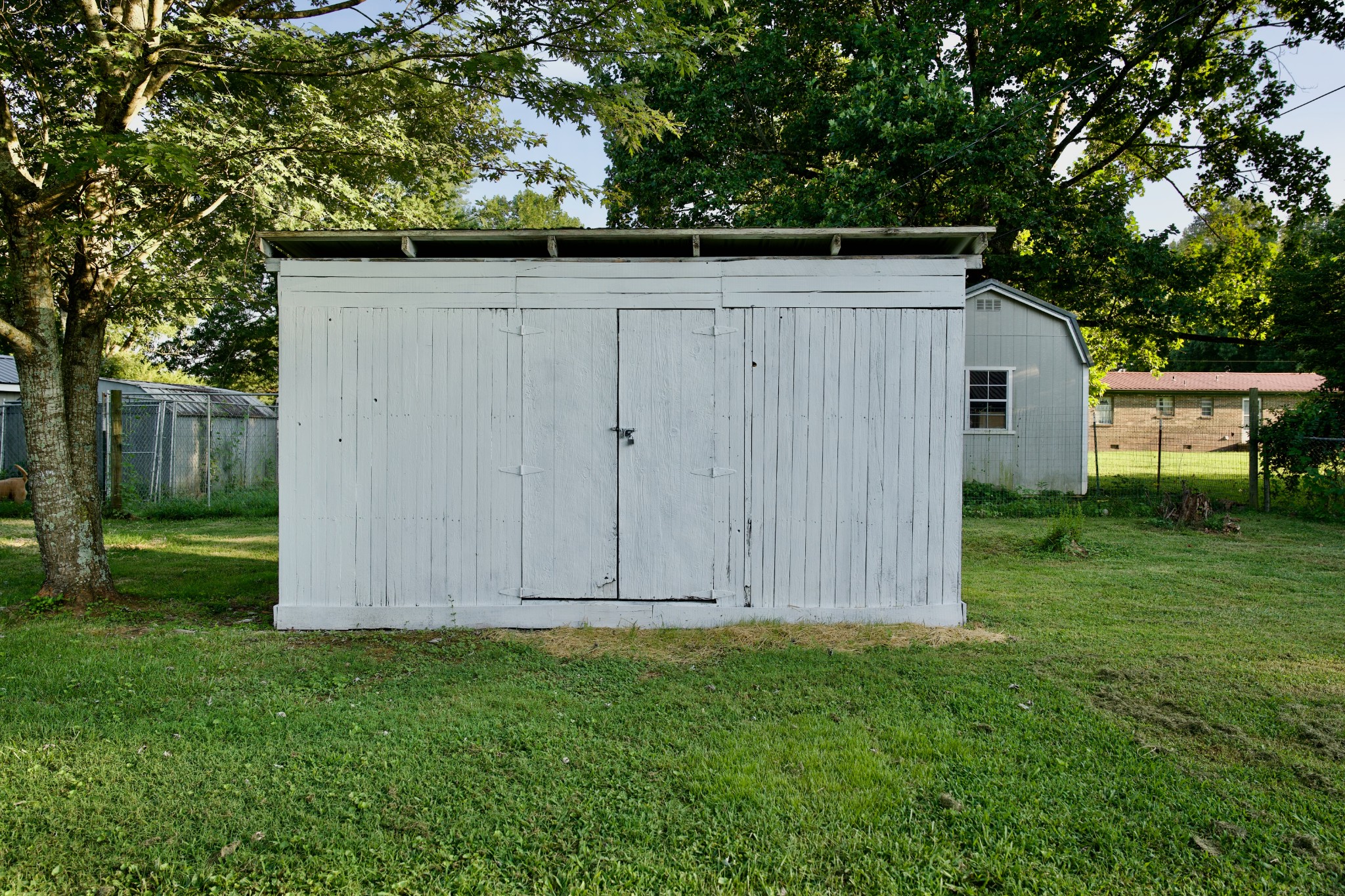 570 Forest Circle Sparta, TN 38583 - Photo 8 of 27 a view of backyard with potted plants and large tree