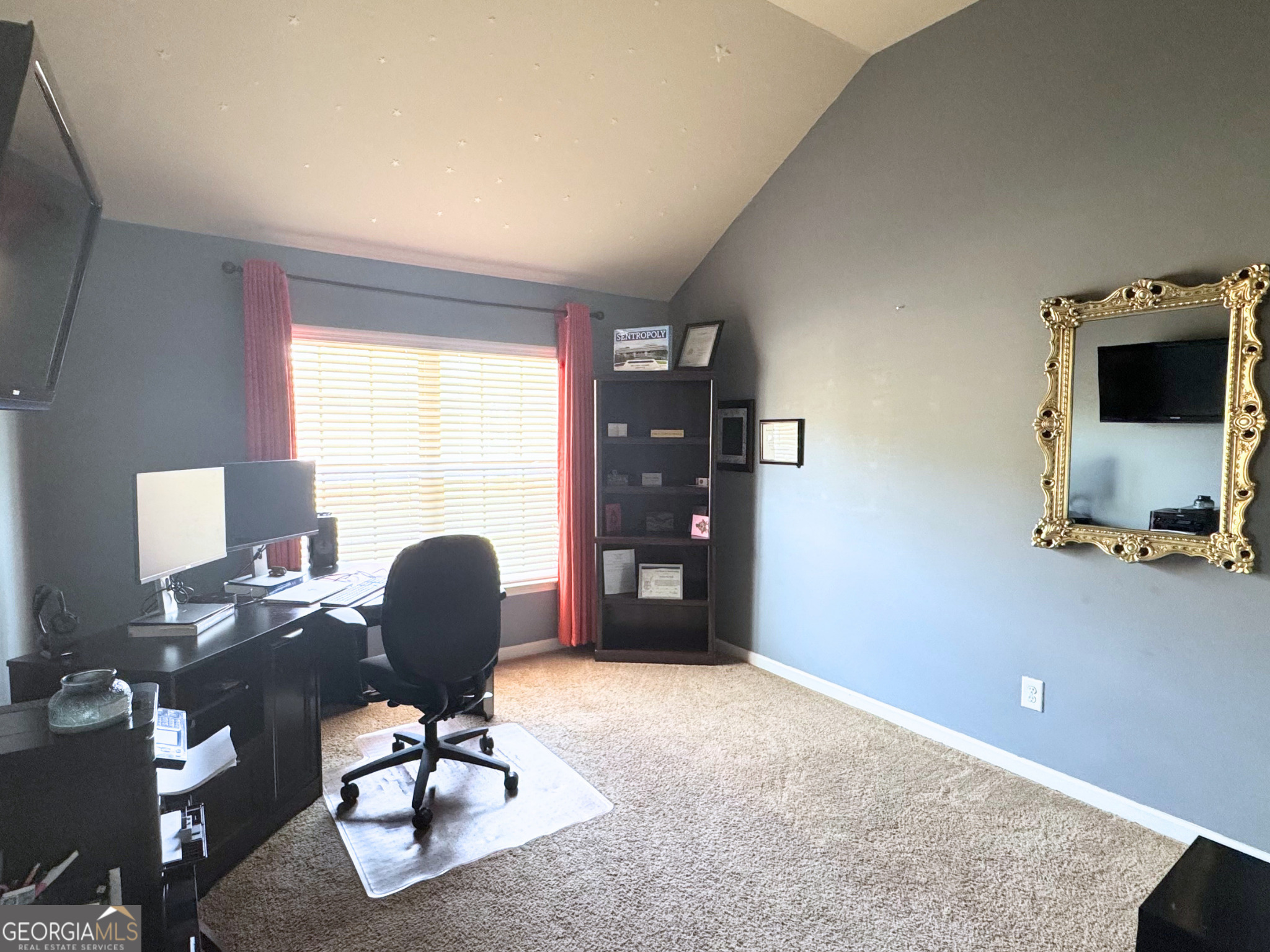 225 Christopher Michael Lane Hampton, GA 30228 - Photo 26 of 29