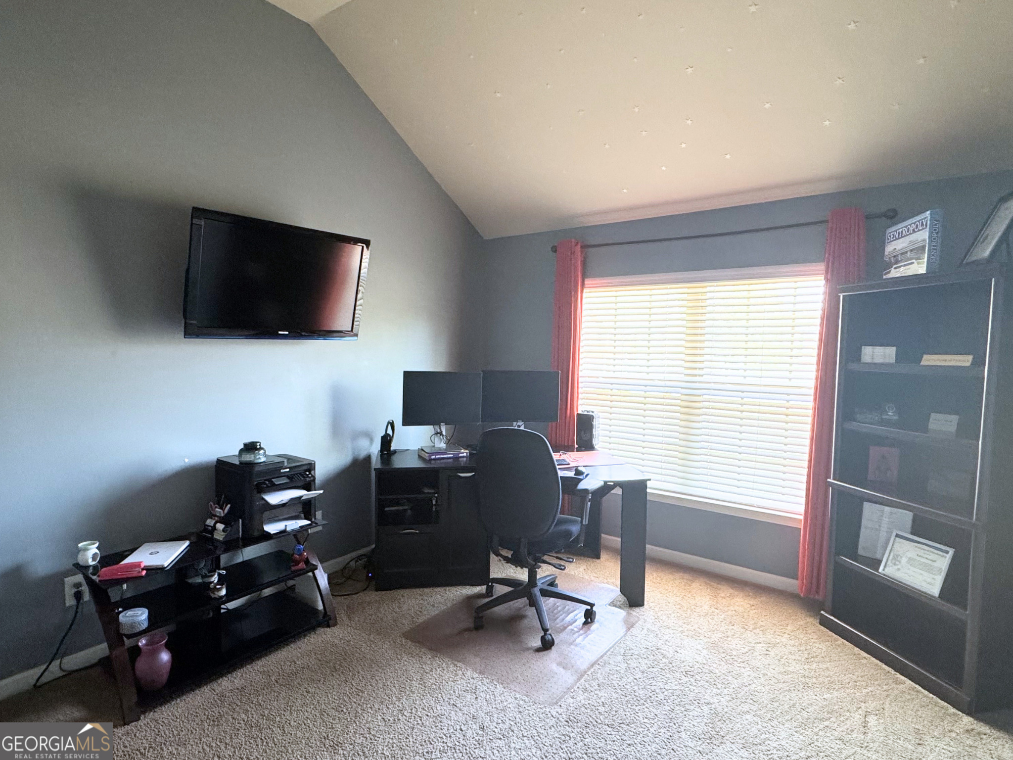 225 Christopher Michael Lane Hampton, GA 30228 - Photo 27 of 29