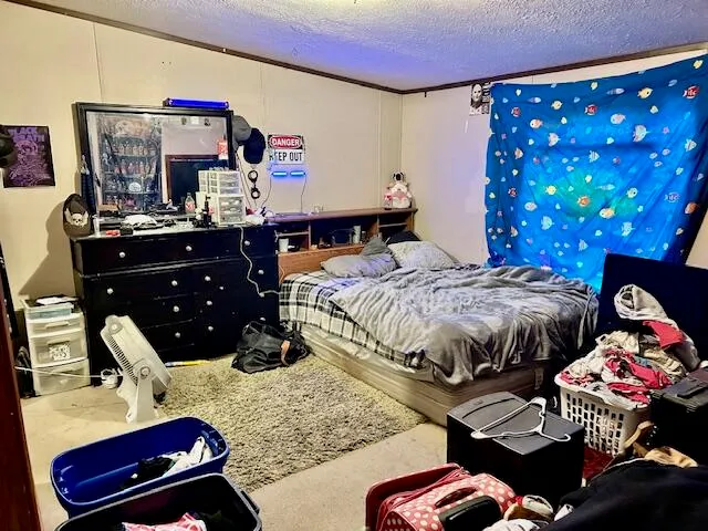 a bedroom with bed and a couch