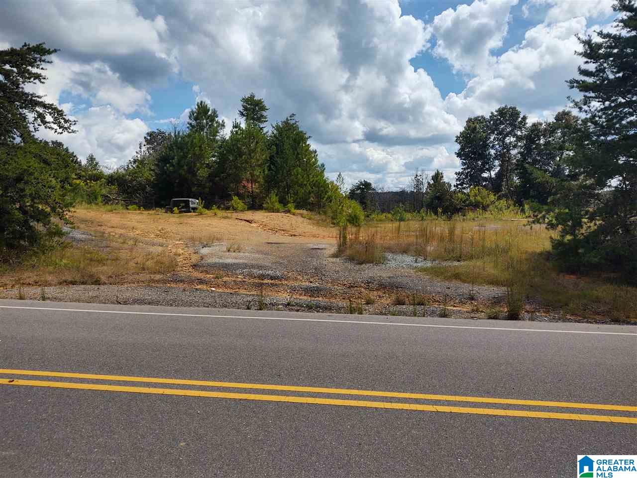 17160 Lock 17 Road, Unit 1 Brookwood, AL 35444 - Photo 7 of 13