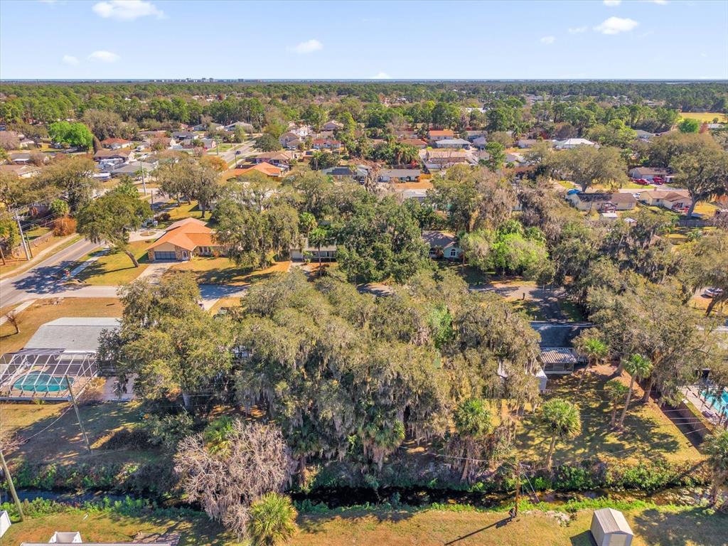 3012 Lime Tree Drive Edgewater, FL 32141 - Photo 3 of 24