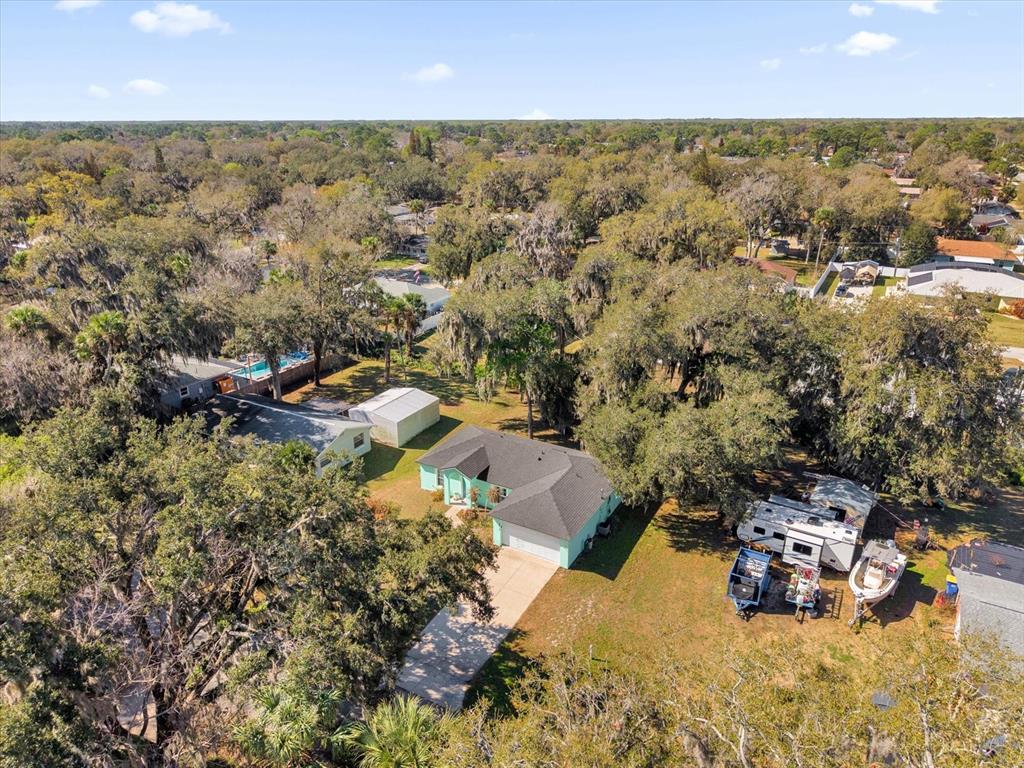 3012 Lime Tree Drive Edgewater, FL 32141 - Photo 5 of 24