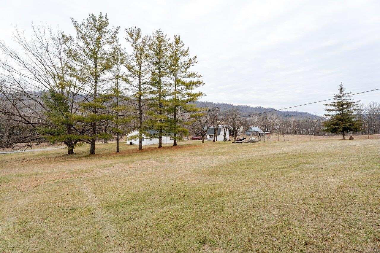 11918 Turleytown Road Broadway, VA 22815 - Photo 37 of 42 a view of a field with trees in front of it