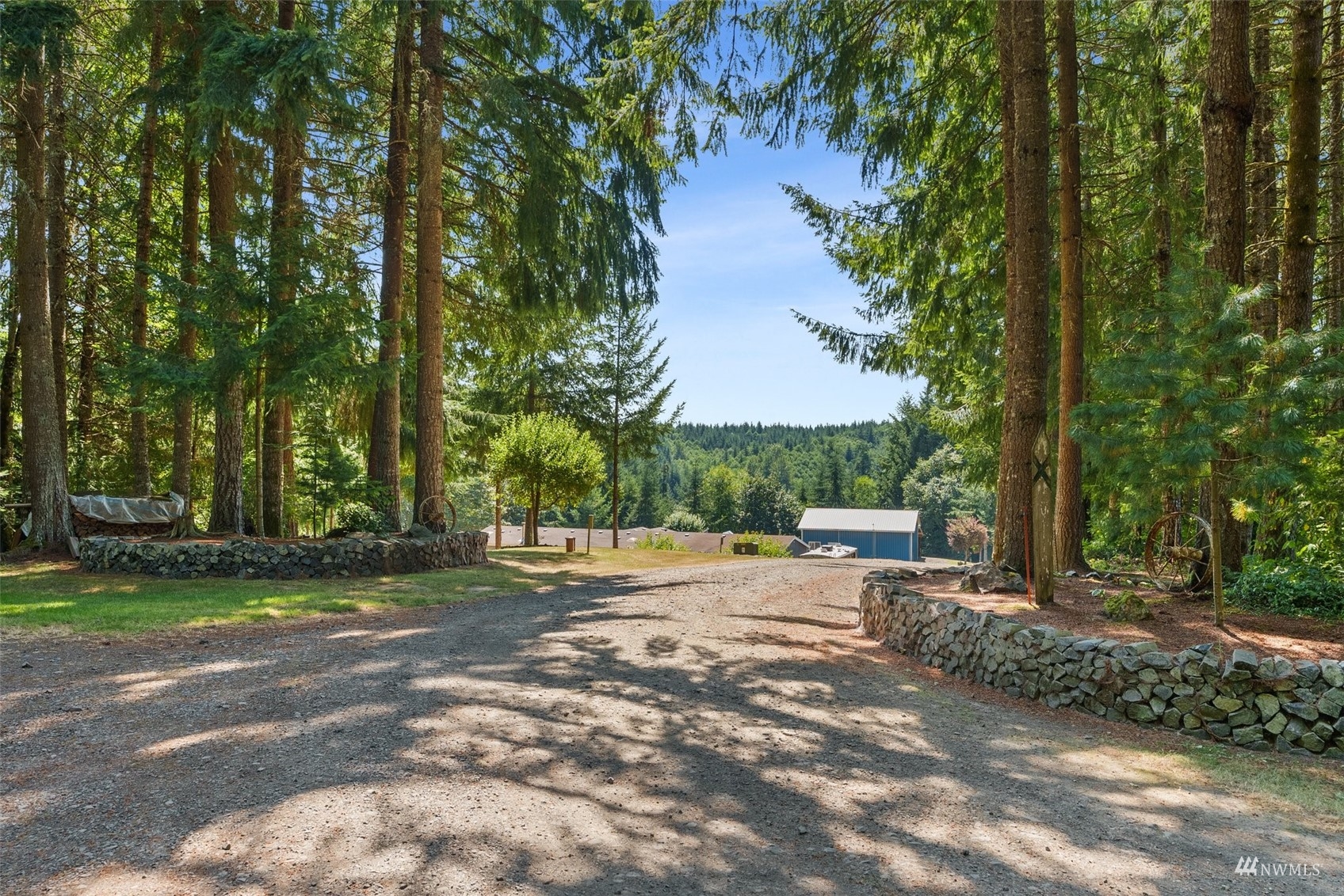 182 Holgate Lane Chehalis, WA 98532 - Photo 37 of 38 a row of palm trees in the middle of a yard