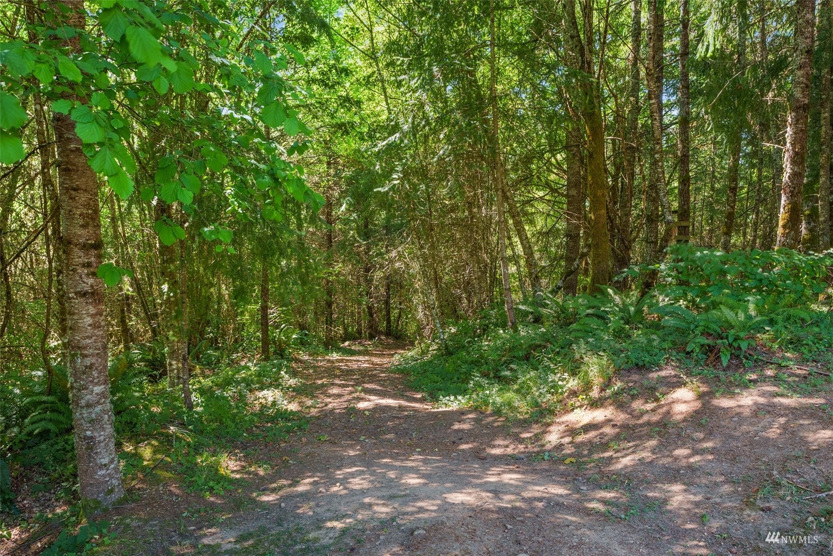182 Holgate Lane Chehalis, WA 98532 - Photo 38 of 38 a view of outdoor space and trees