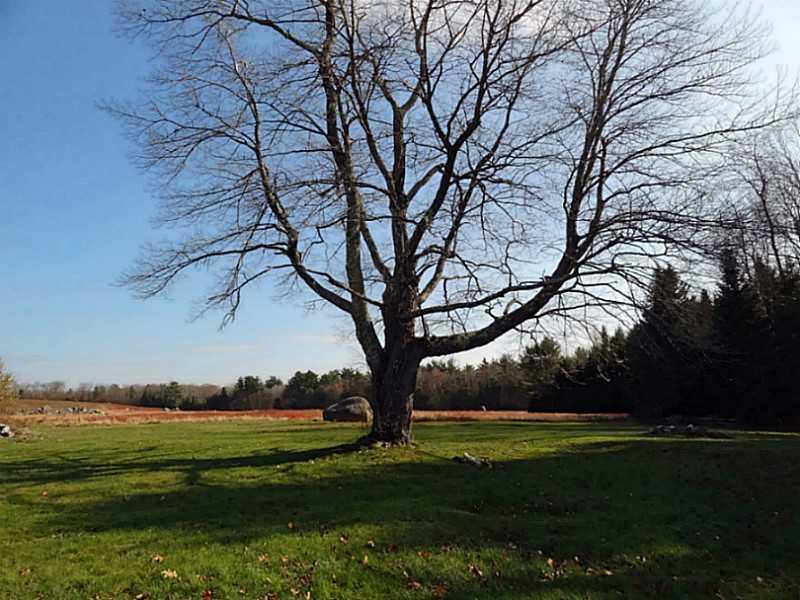 10 Big Rock Road Aurora, ME 04408 - Photo 24 of 35 yard