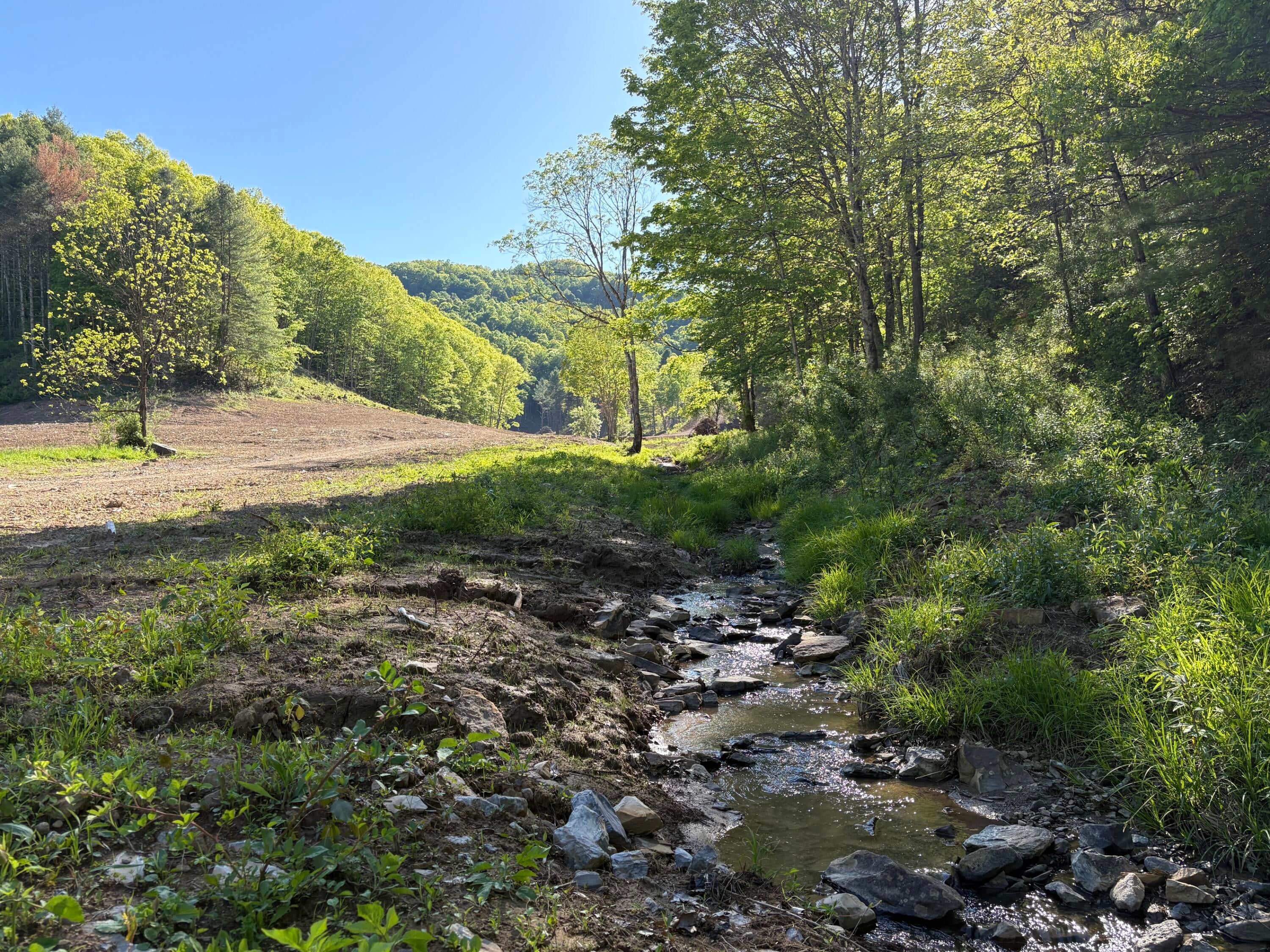 Suck Creek Road Jumping Branch, WV 25969 - Photo 1 of 52 Gallery Image 1