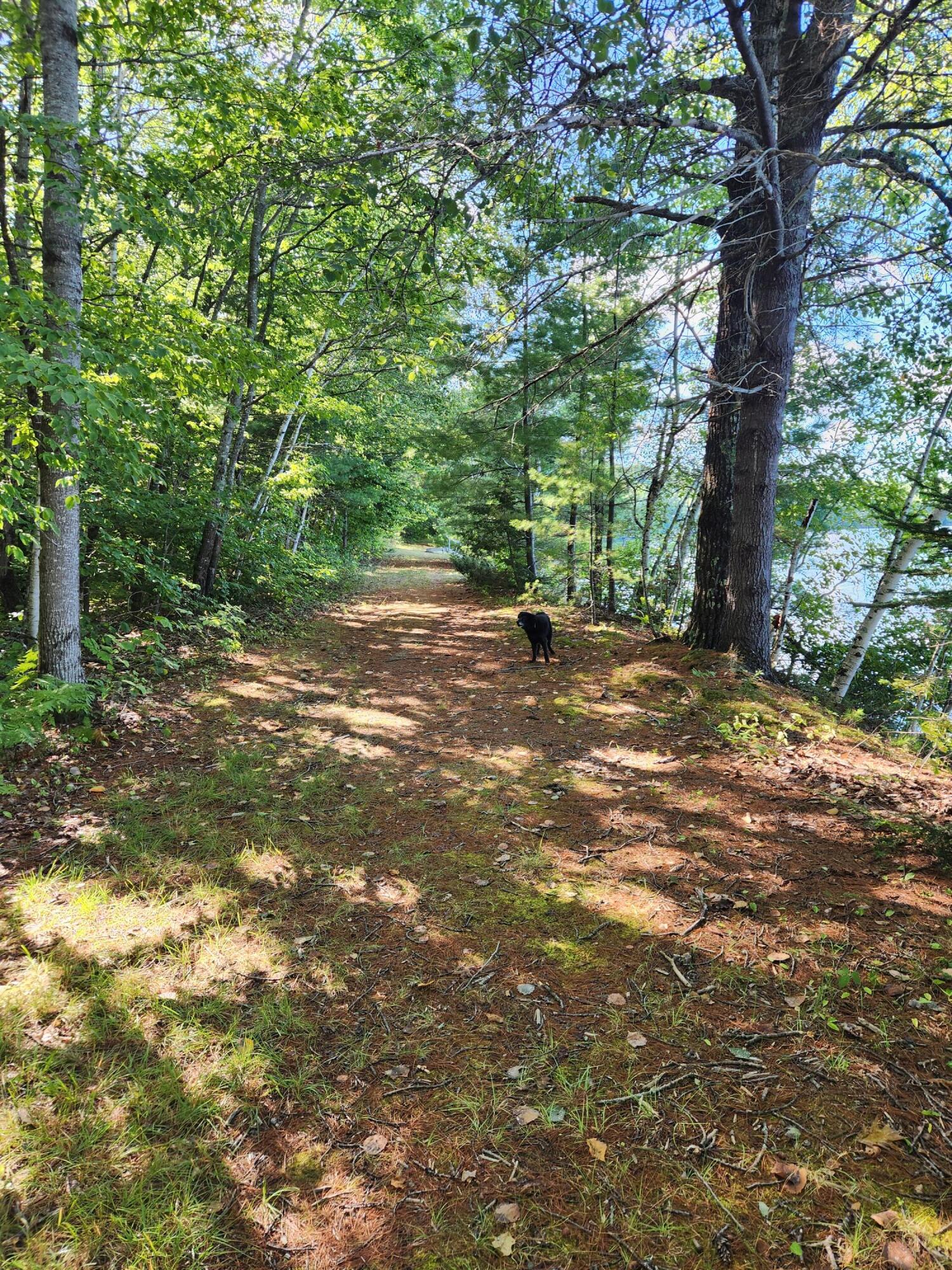 286 Staples Hill Road Canton, ME 04221 - Photo 14 of 118 Waterfront trail