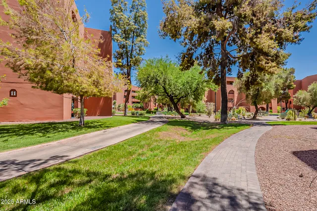 a view of a park with large trees