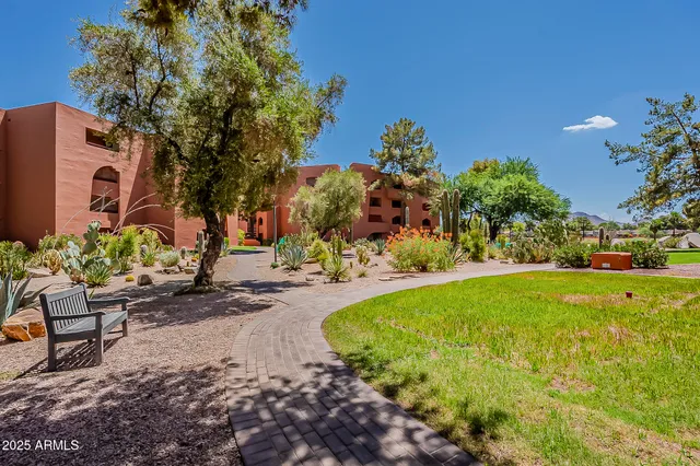 a view of a backyard with plants and a small park