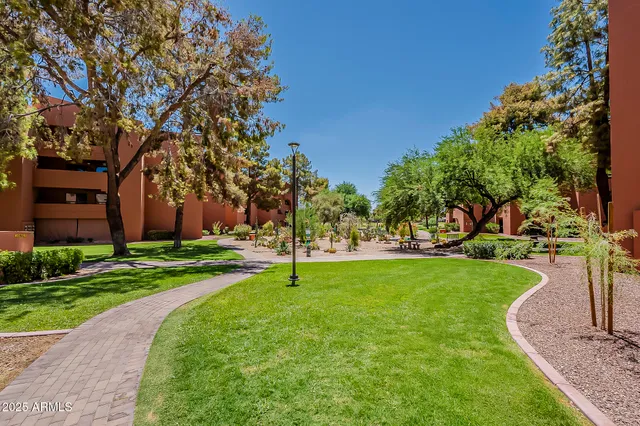 a view of a park with large trees