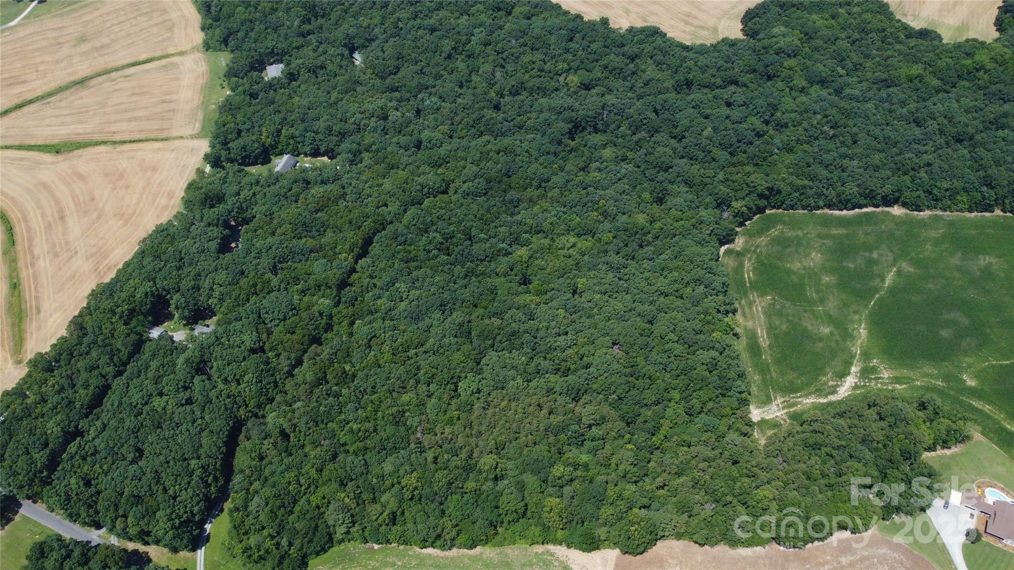 212 Gulledge Parker Road Monroe, NC 28112 - Photo 1 of 3 a view of a forest with a street