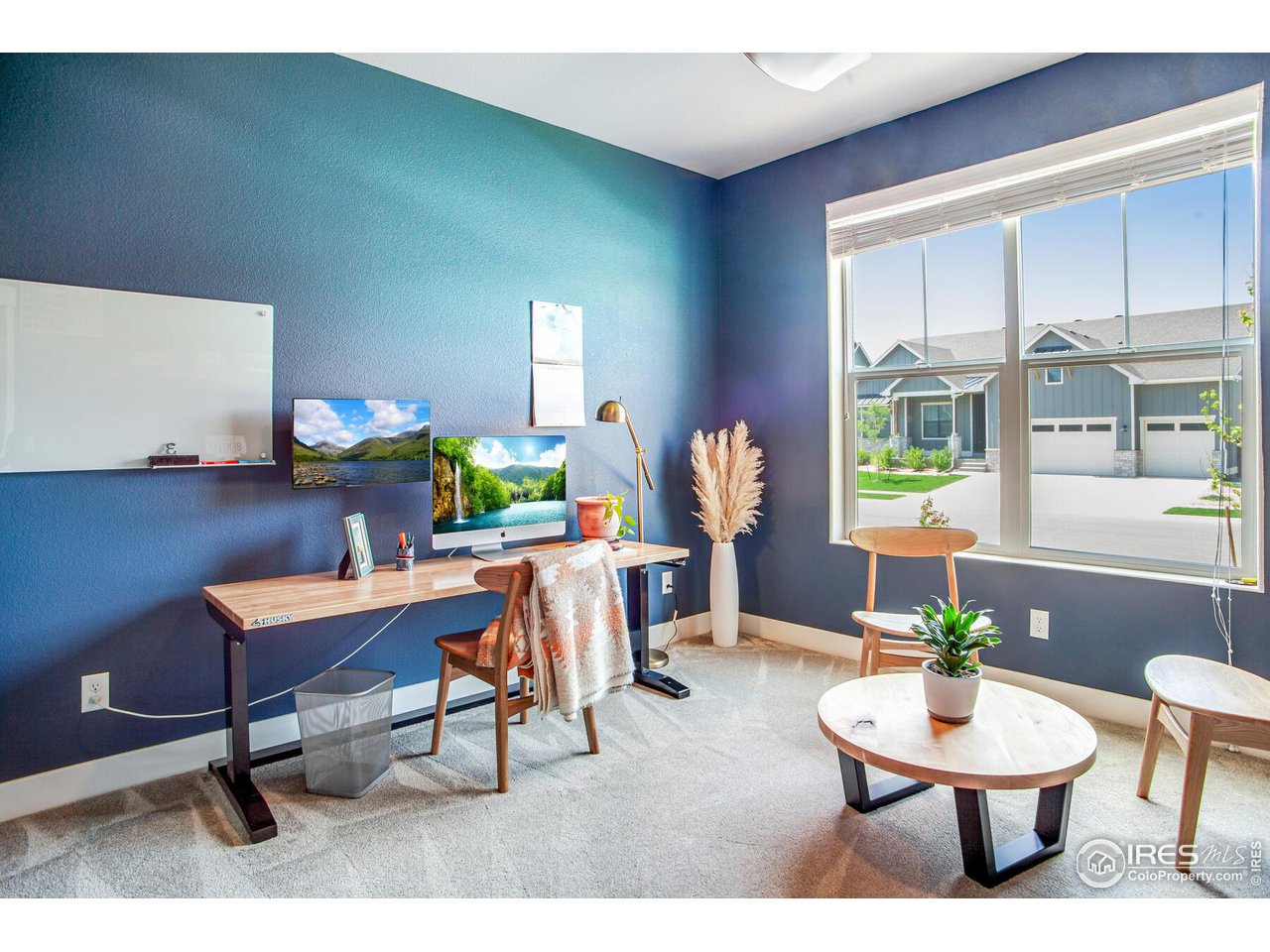 1927 Rolling Wind Drive Windsor, CO 80550 - Photo 17 of 31 a living room with furniture and a potted plant