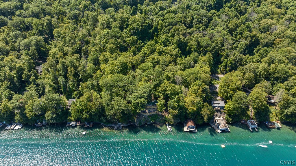 126 Ridings Drive Homer, NY 13077 - Photo 40 of 44 Aerial - Shoreline