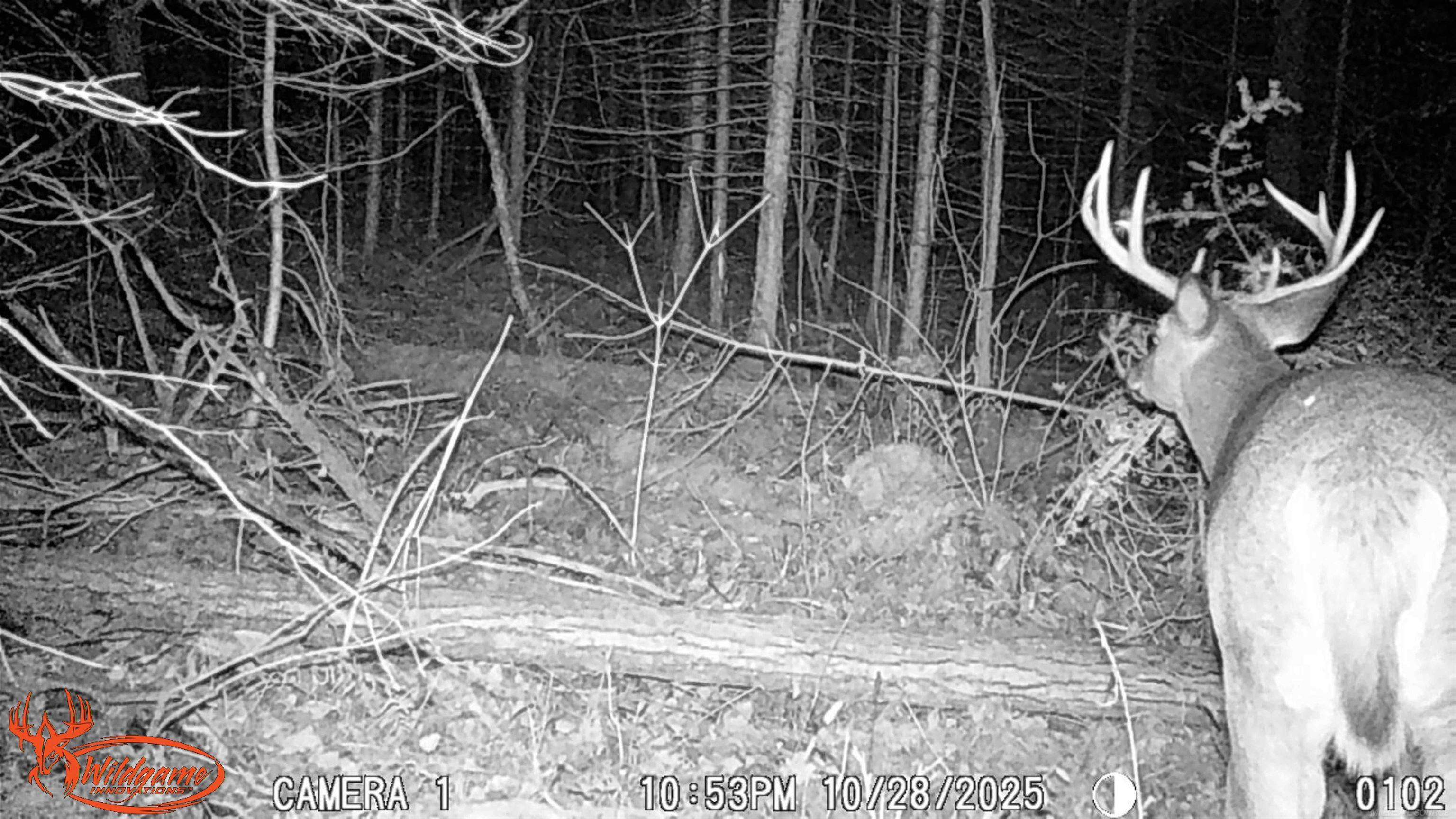 Xxx Tolan Road Spruce, MI 48762 - Photo 28 of 79