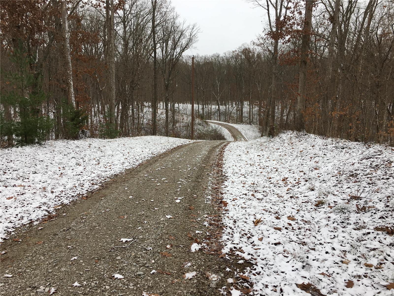 486 Ripson Bridge Avenue Greenville, IL 62246 - Photo 8 of 30