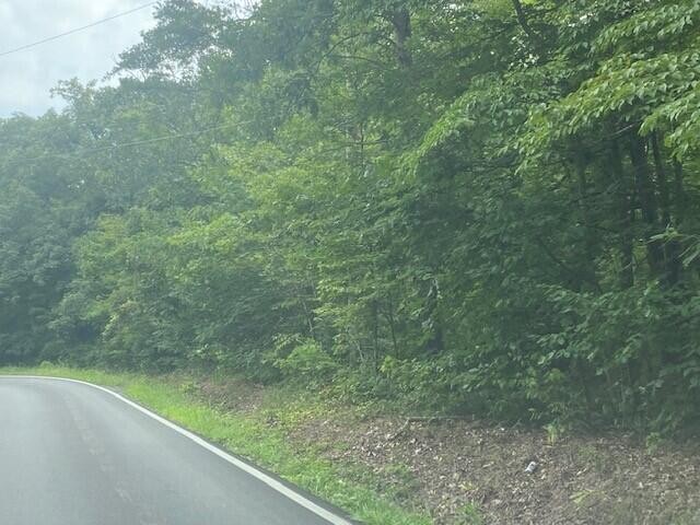 2800 Corral Road Signal Mountain, TN 37377 - Photo 4 of 4