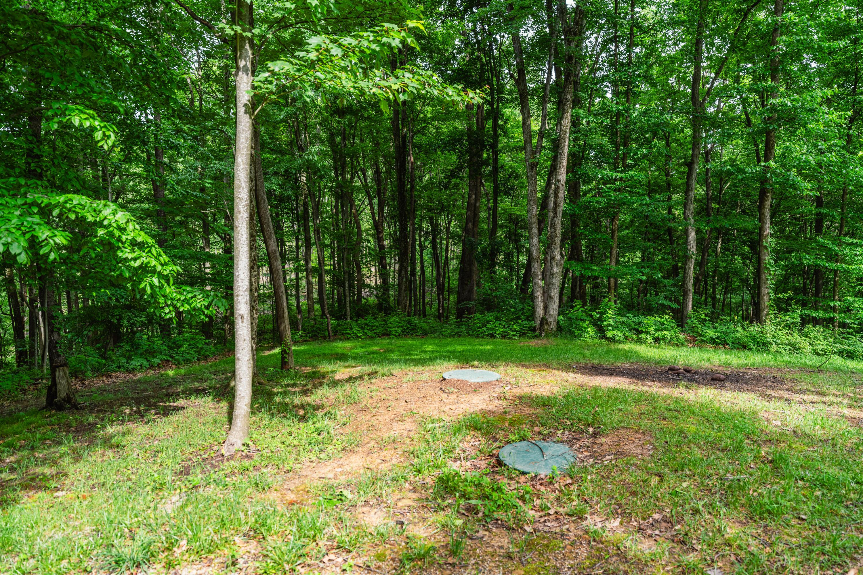 5674 Pleasant Valley Road Nashport, OH 43830 - Photo 41 of 60
