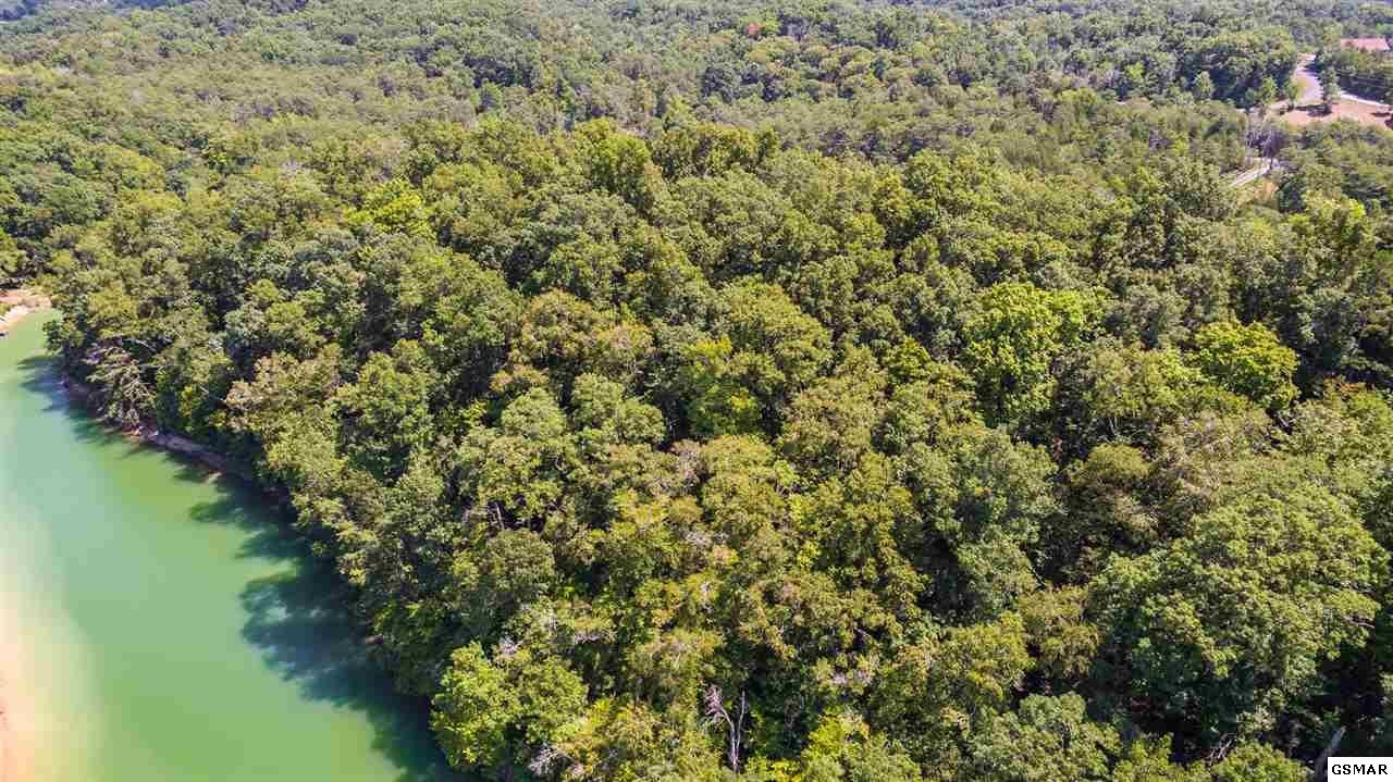 11 Pleasure Road Sevierville, TN 37876 - Photo 10 of 21