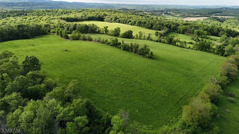 a view of a green field with lots of bushes