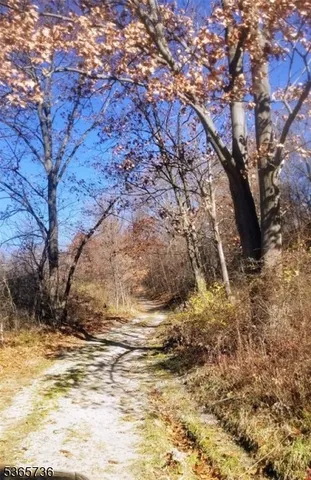 a view of yard covered with snow