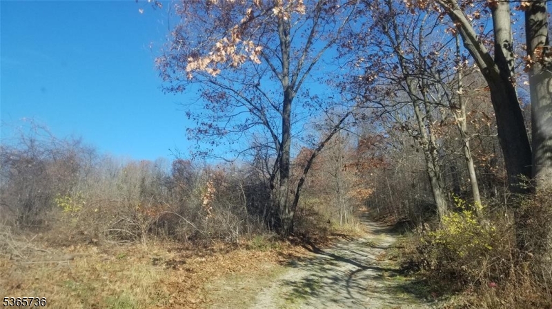 234 State Line Road Westtown, NY 10998 - Photo 12 of 14