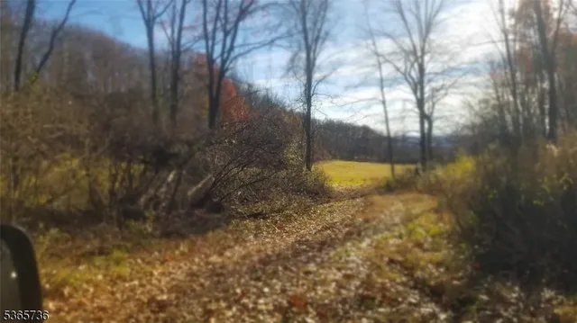 a view of a swimming pool with a stove