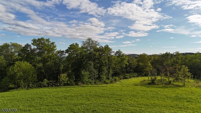 234 State Line Road Westtown, NY 10998 - Photo 7 of 14 a view of a grassy field with trees