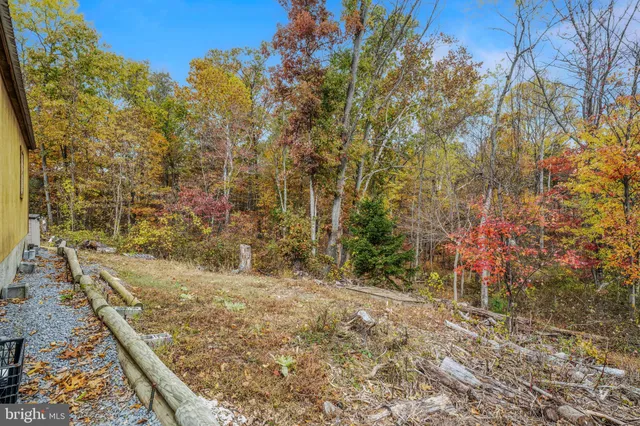 a view of a yard with plants and wooden fence