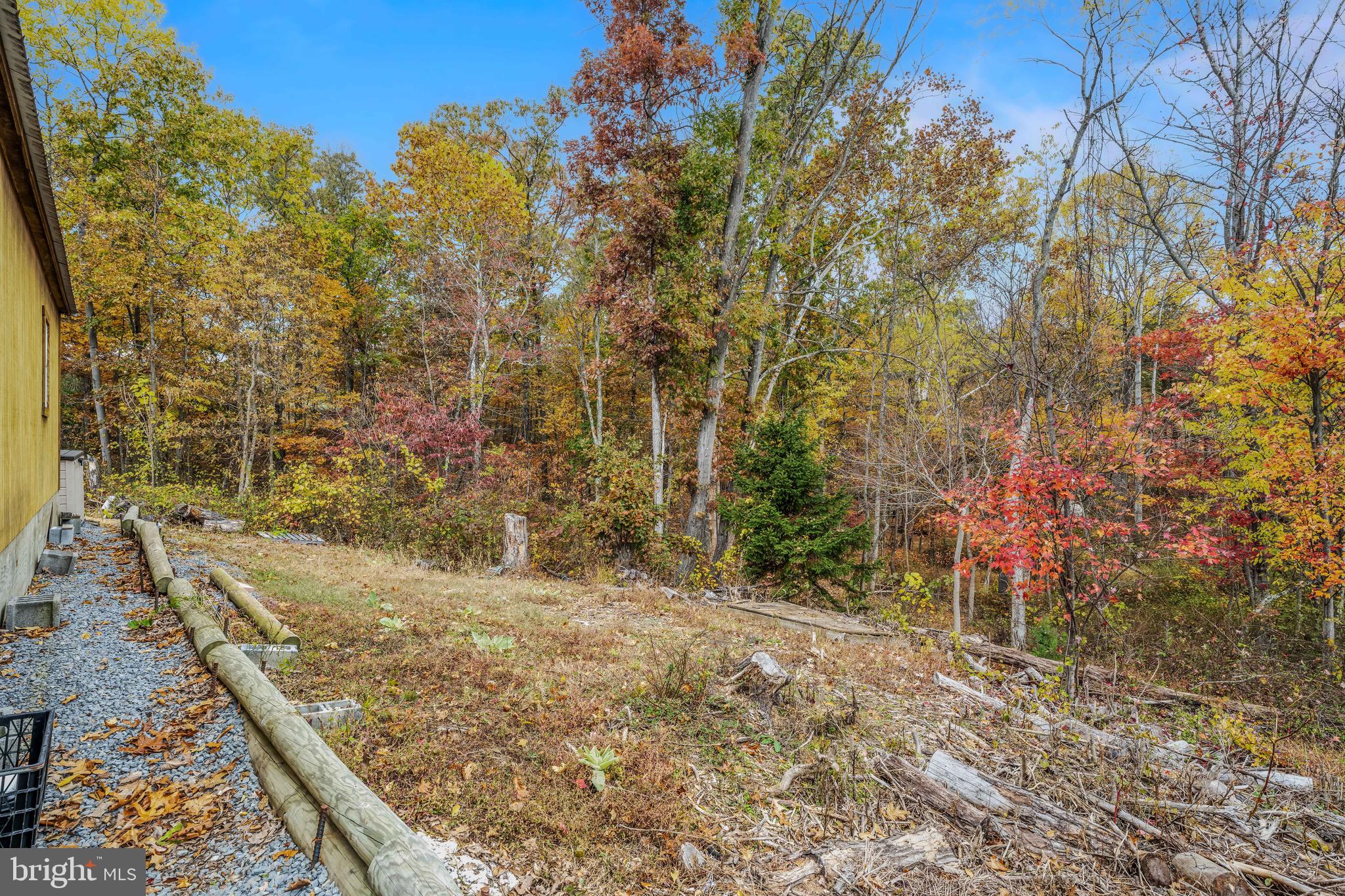 393 Ridersville Road Berkeley Springs, WV 25411 - Photo 13 of 32 a view of a yard with plants and wooden fence