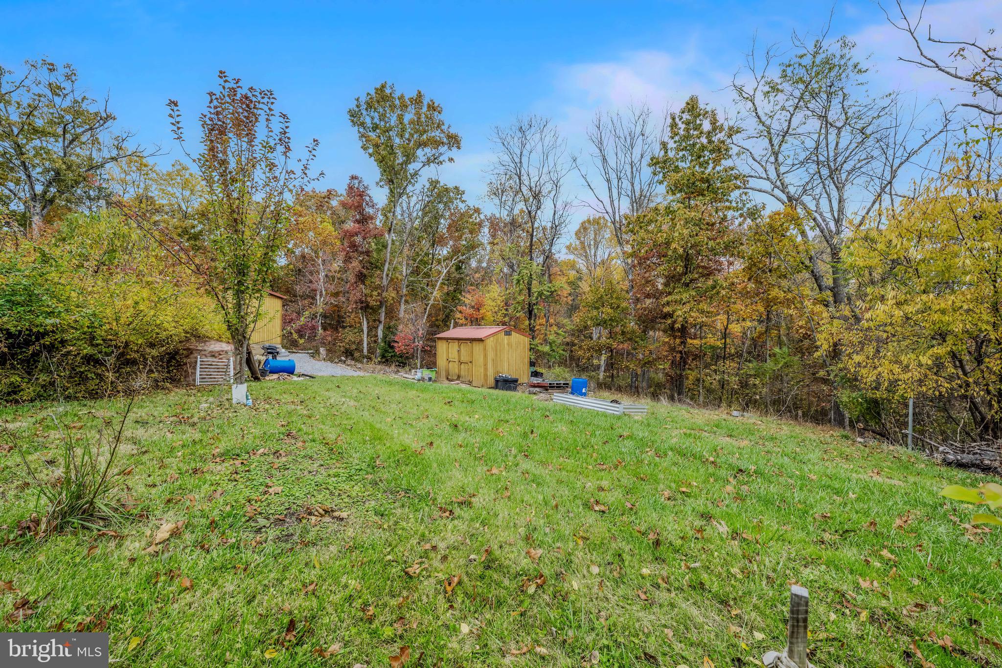 393 Ridersville Road Berkeley Springs, WV 25411 - Photo 16 of 32 a view of a backyard with large trees