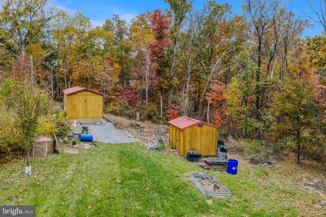 a view of a backyard with table and chairs and a large tree