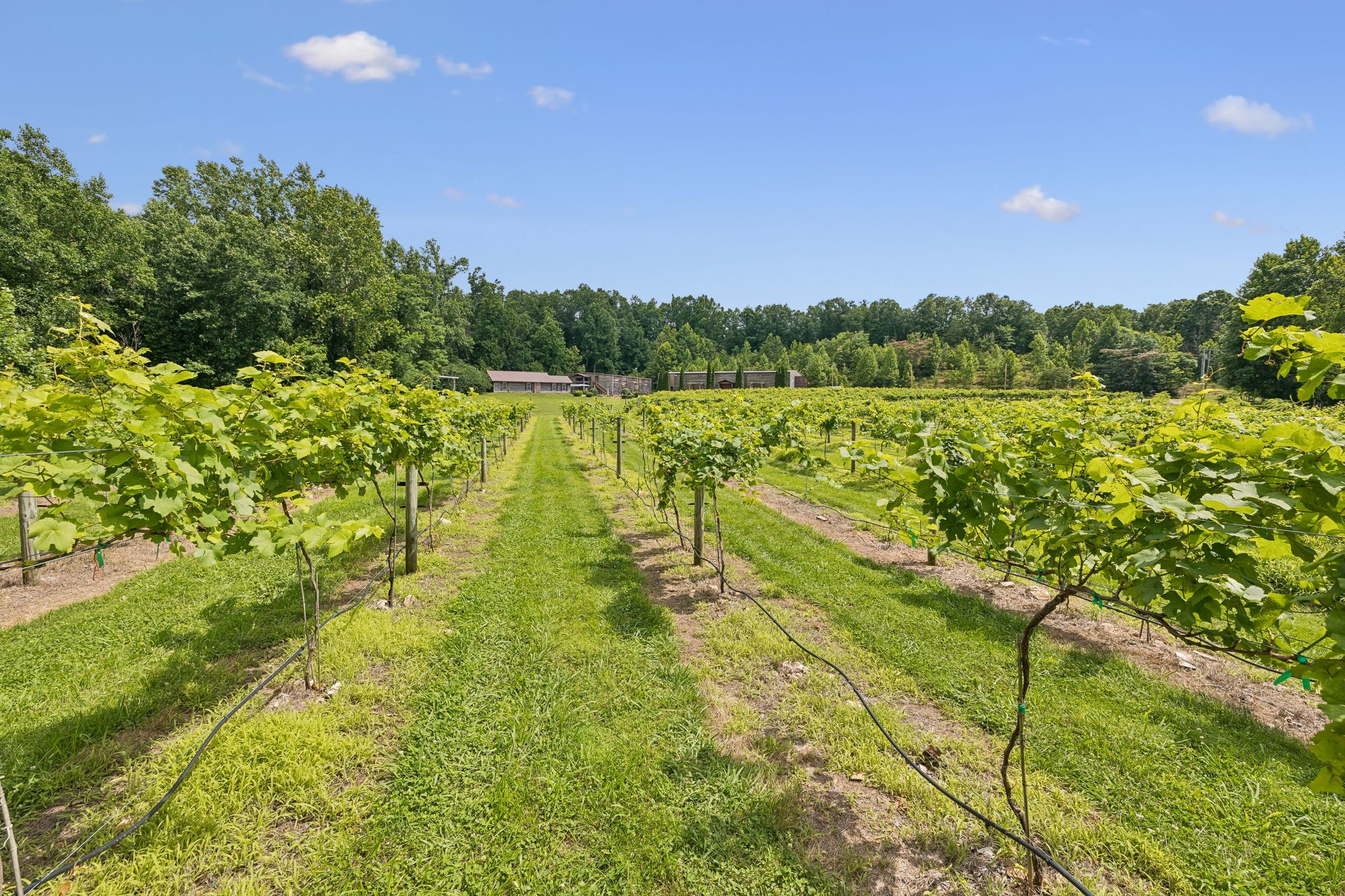 109 Overhead Bridge Road Hampshire, TN 38461 - Photo 44 of 54