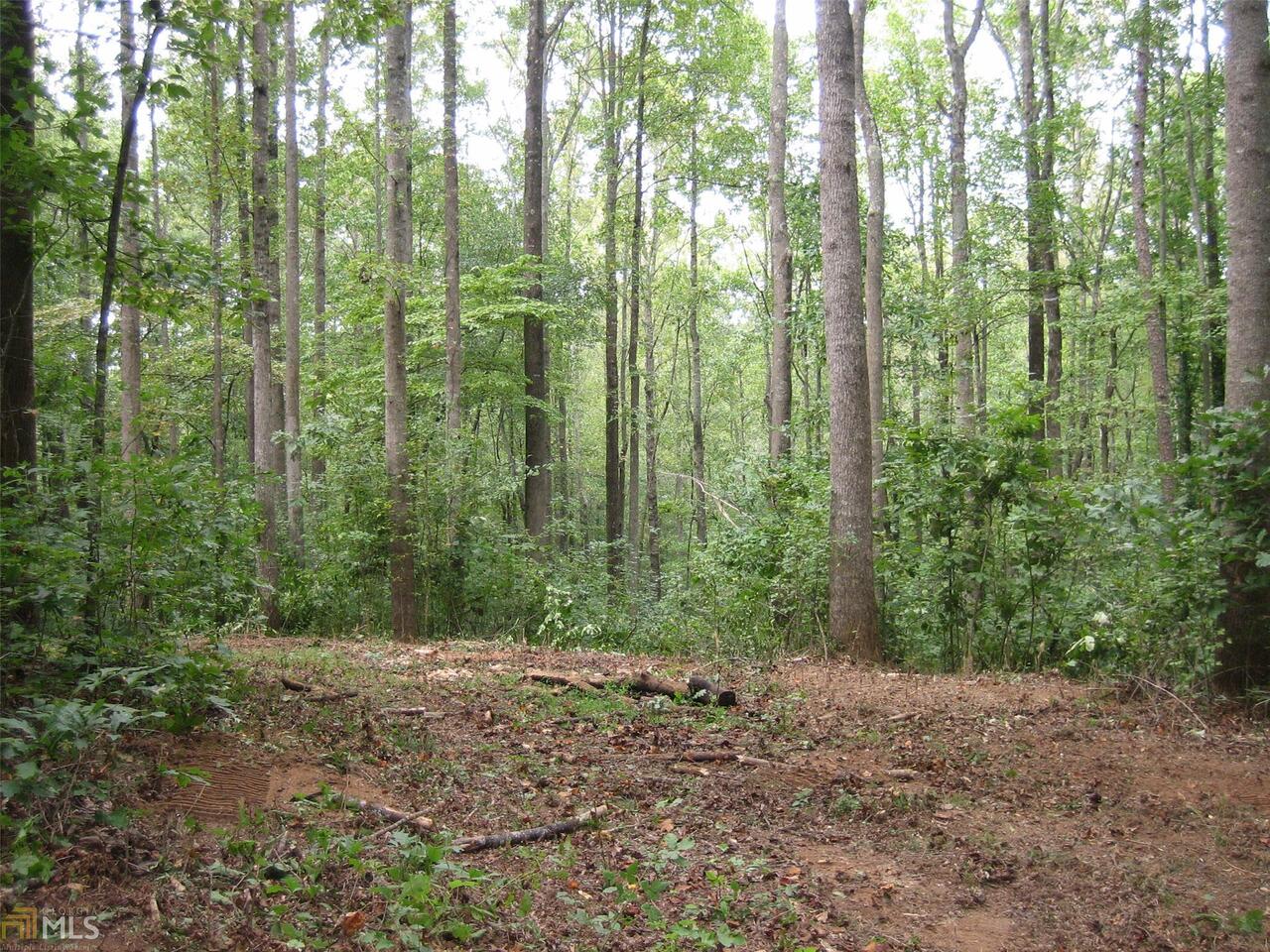 5950 Jot Em Down Road Cumming, GA 30041 - Photo 1 of 1 Gallery Image 1