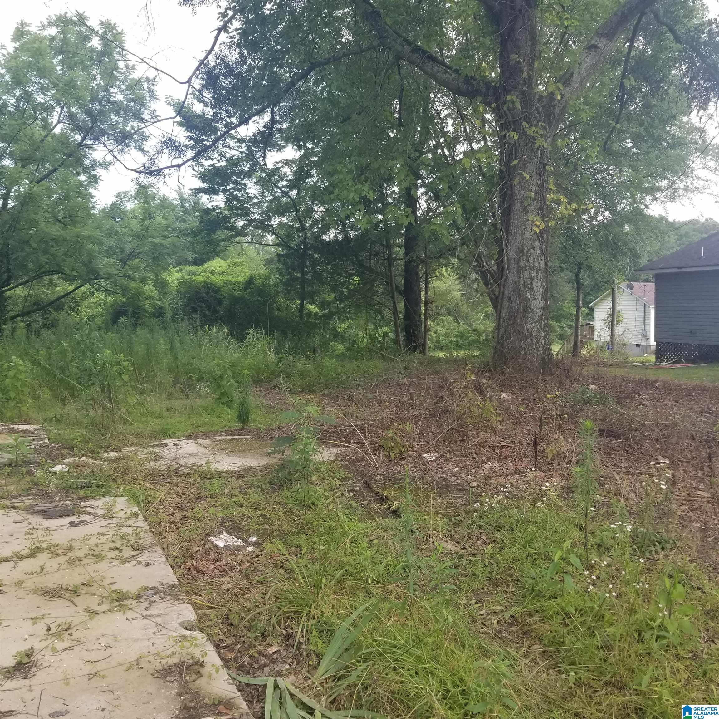 11284 Us Highway Riverside, AL 35135 - Photo 5 of 20