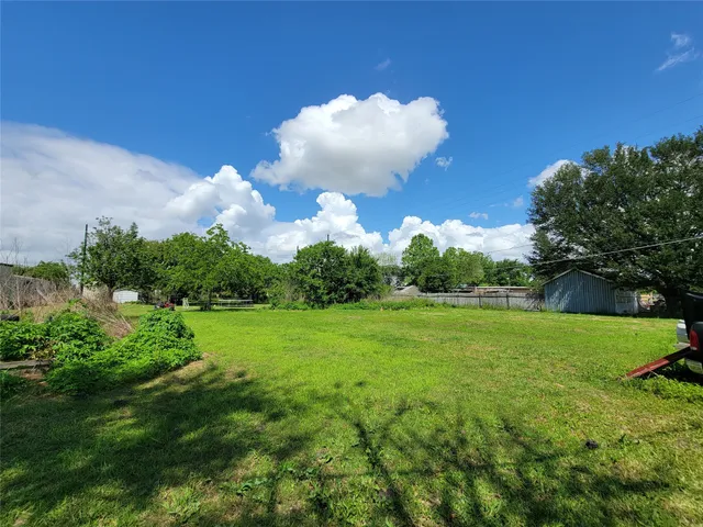 a view of a big yard with potted plants and large tree