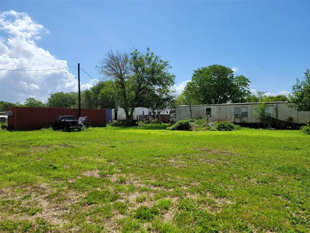 a view of yard with grass & palm tree