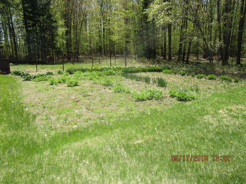 3706 Cool Road Southeast Kalkaska, MI 49646 - Photo 16 of 16 1846737-15.JPG