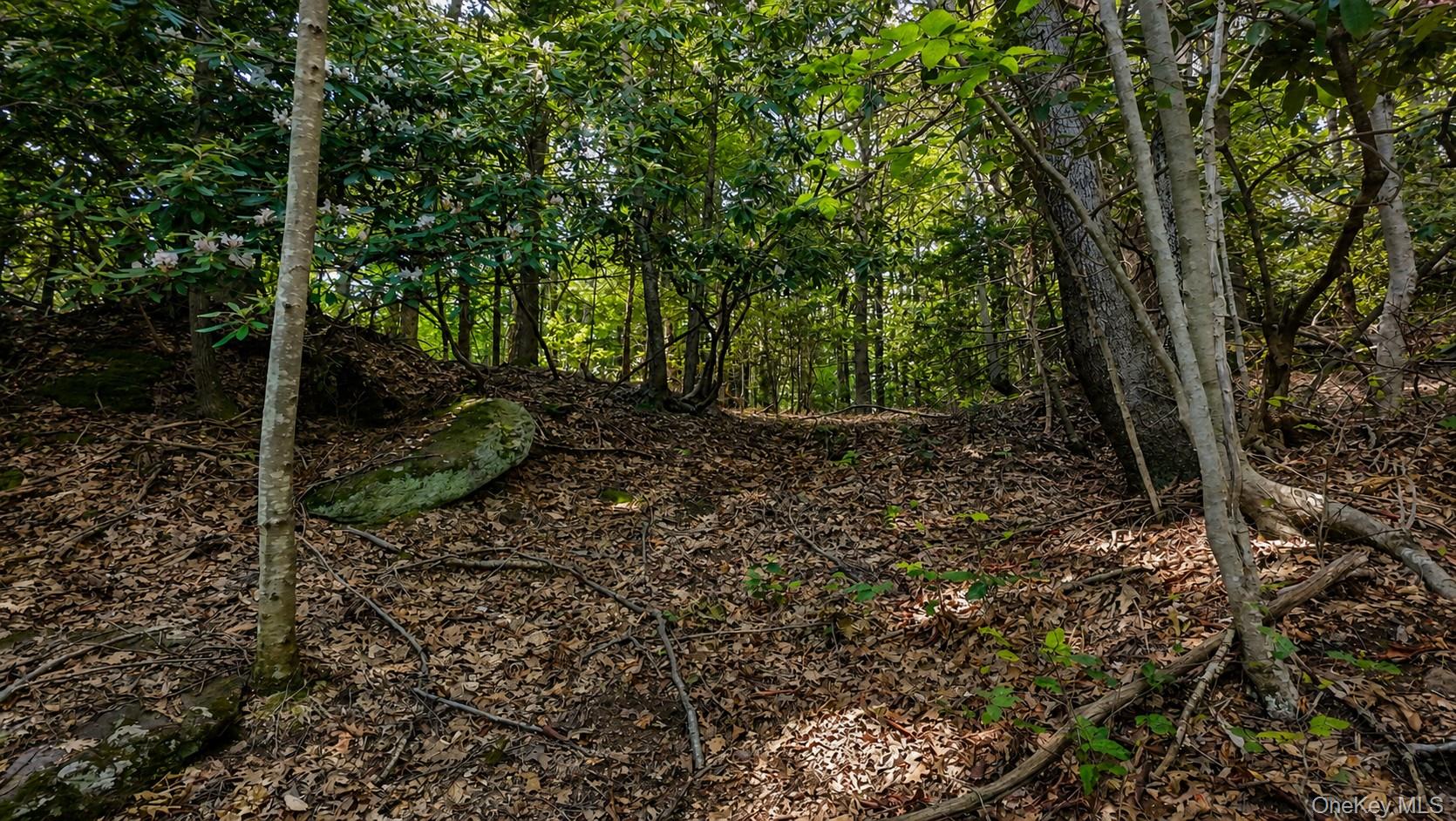 Taylor Road Mountain Dale, NY 12763 - Photo 4 of 15