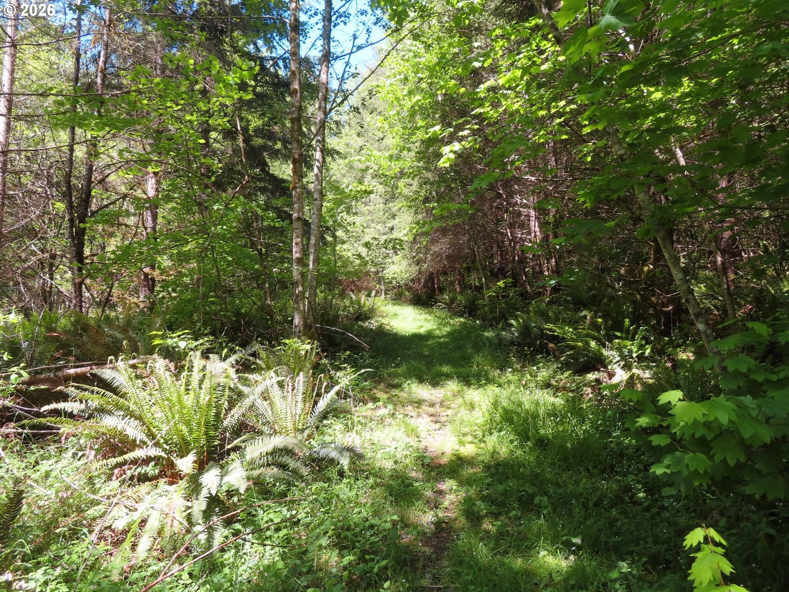 Hockett Road Onalaska, WA 98570 - Photo 25 of 29