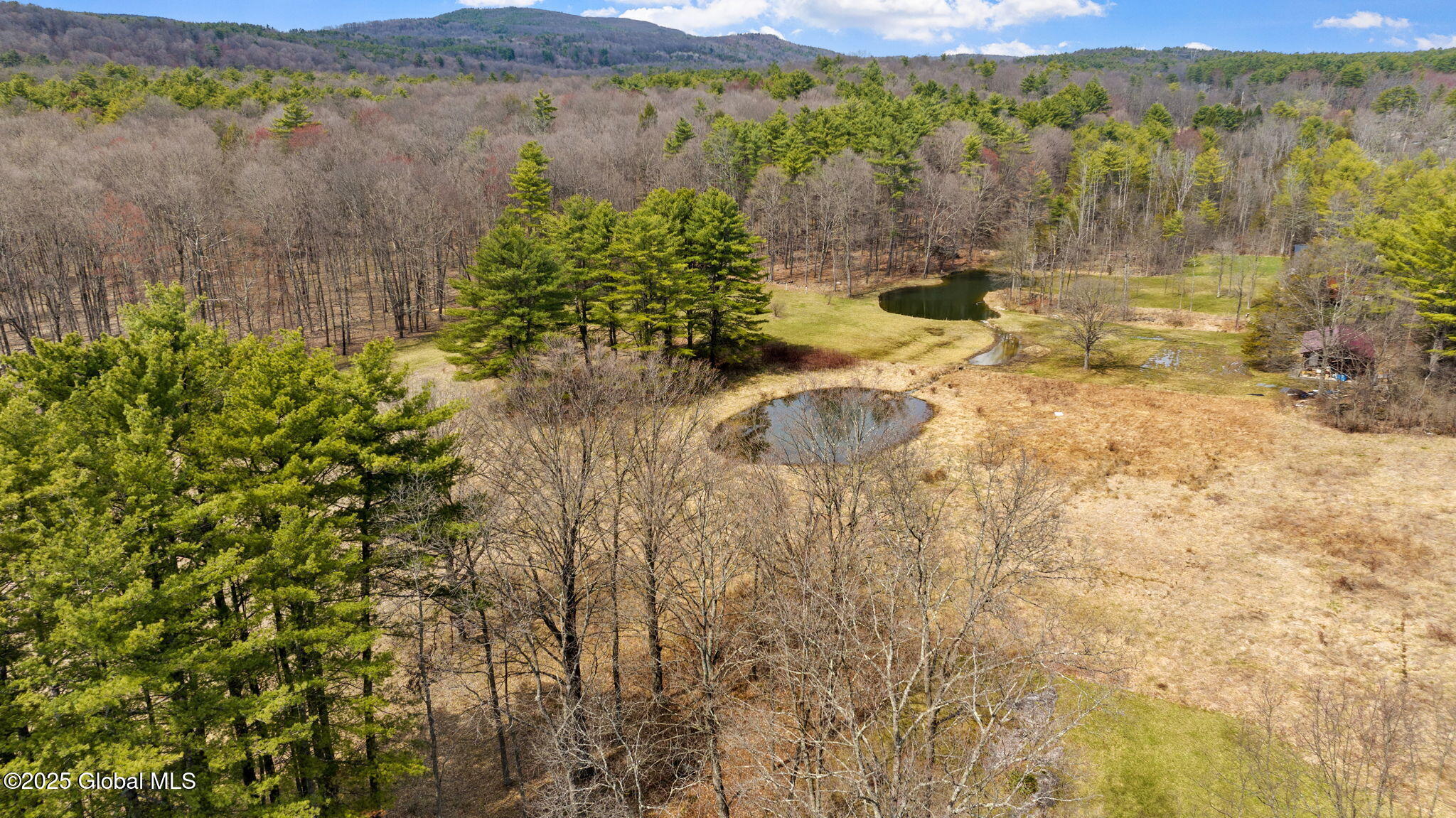 293 Tompkins Road Coeymans, NY 12143 - Photo 34 of 53 51-web-or-mls-293-tompkins-rd