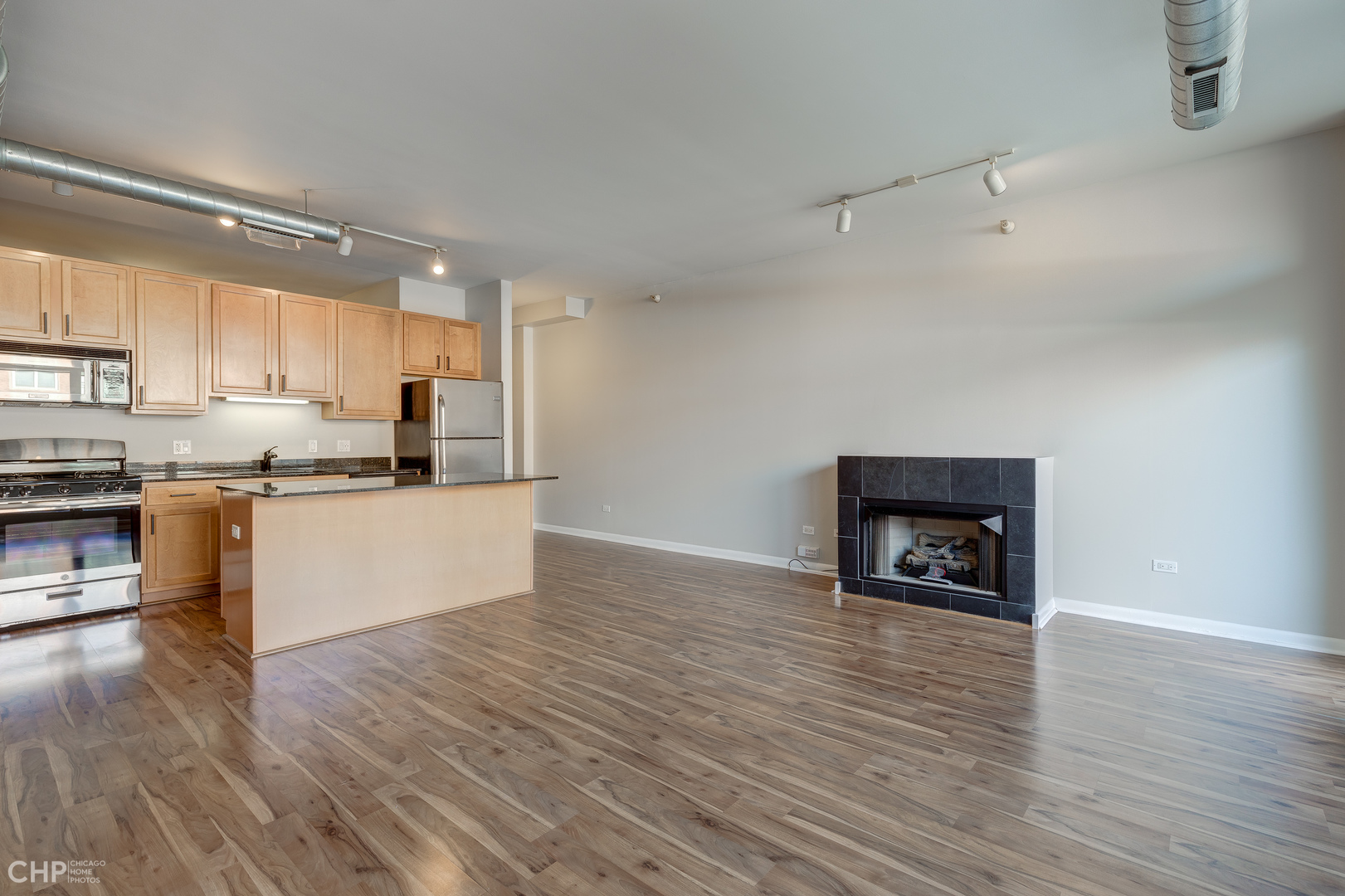 1200 West Monroe Street, Unit 314 Chicago, IL 60607 - Photo 4 of 20