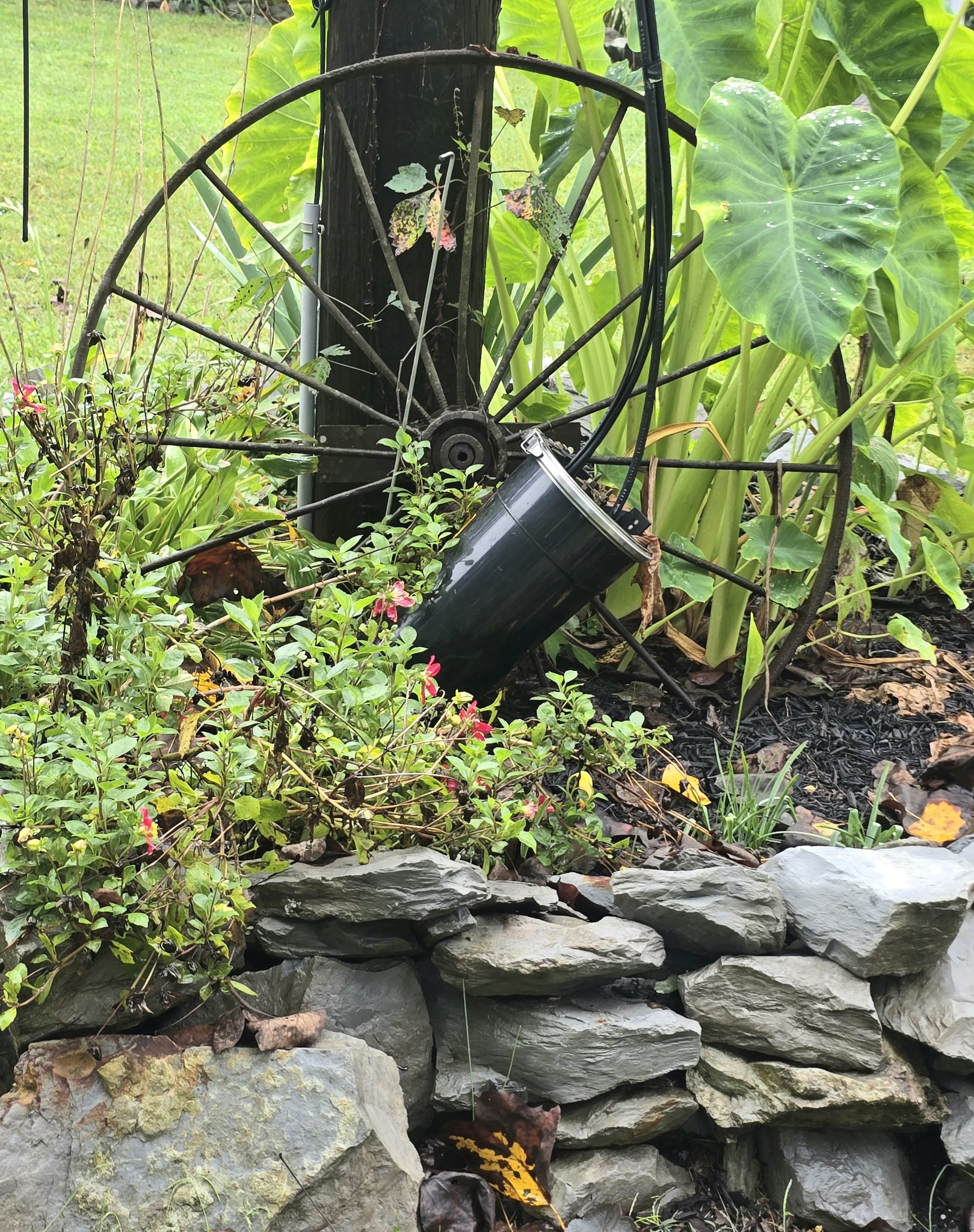 157 Longbranch Road Hohenwald, TN 38462 - Photo 4 of 16 a backyard of a house with lots of green space