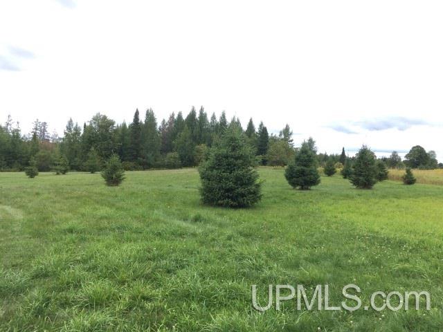 228 Bloomquist Road Iron River, MI 49935 - Photo 2 of 18 Gallery Image 2
