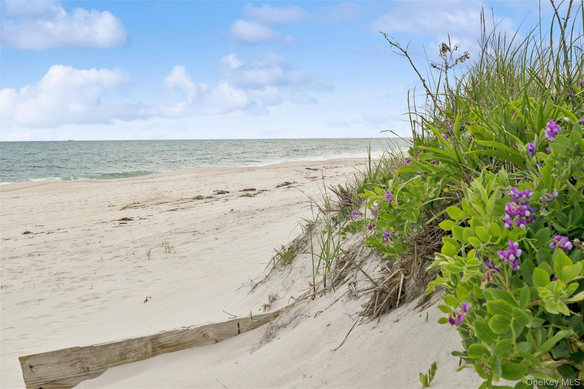 281 Dune Road, Unit 17B Westhampton Beach, NY 11978 - Photo 25 of 25