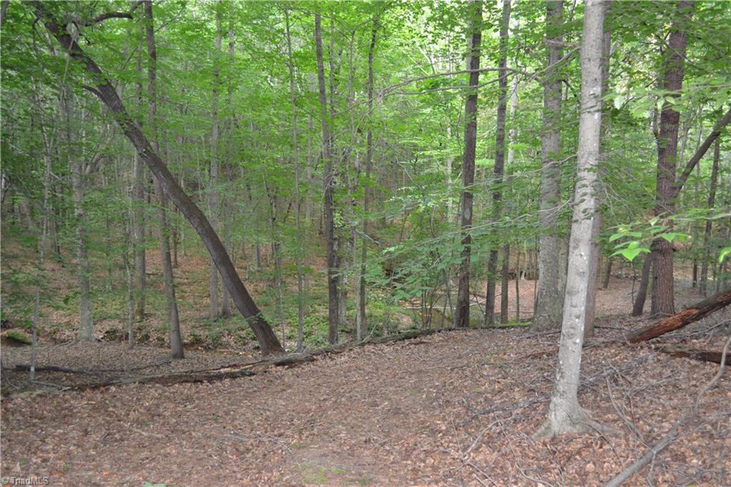 2106 Bethesda Church Road Madison, NC 27025 - Photo 15 of 28 Gallery Image 15