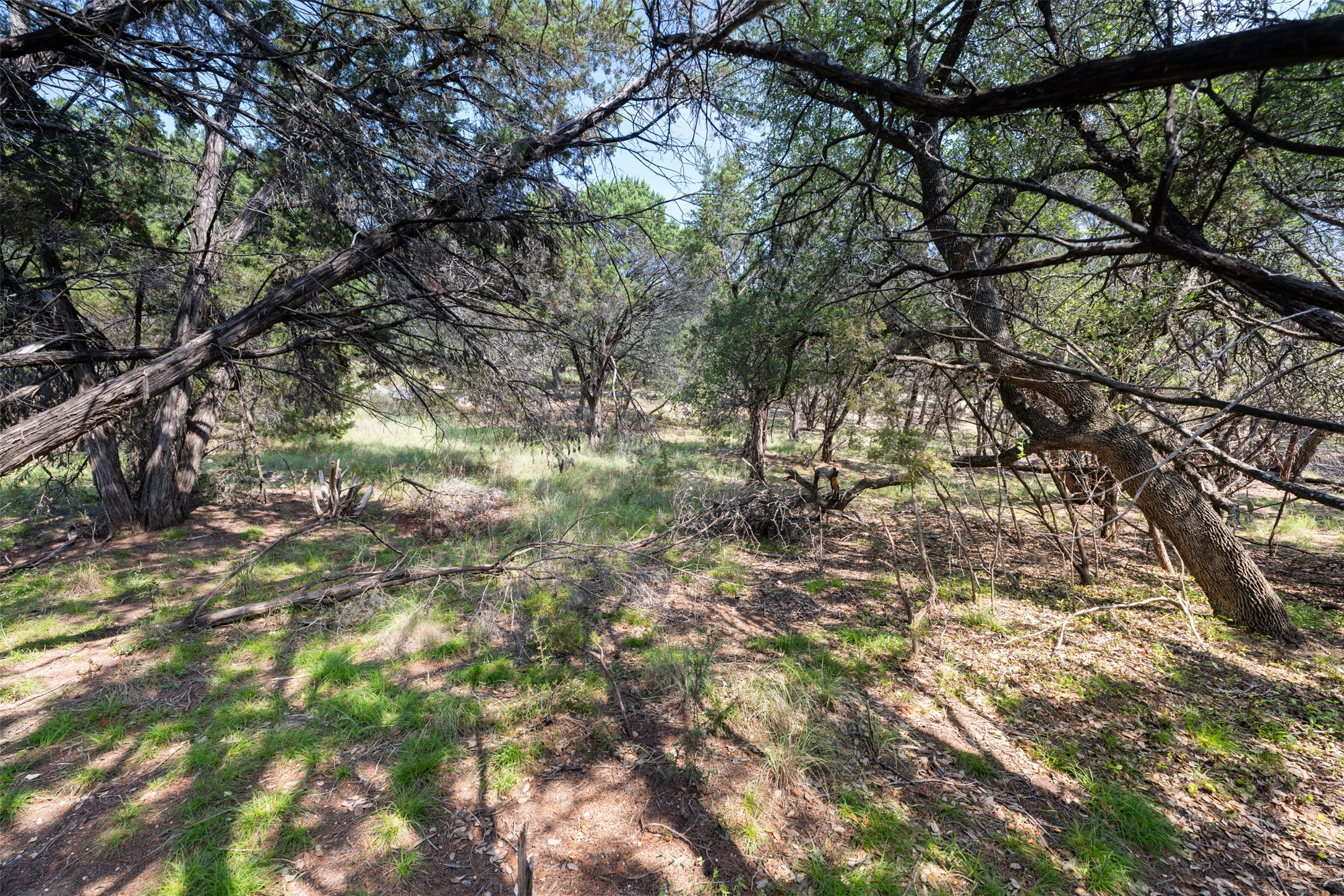 21105 Ridgeview Road Lago Vista, TX 78645 - Photo 27 of 34 Mature trees and natural grasses define this verdant, ready-to-build property.