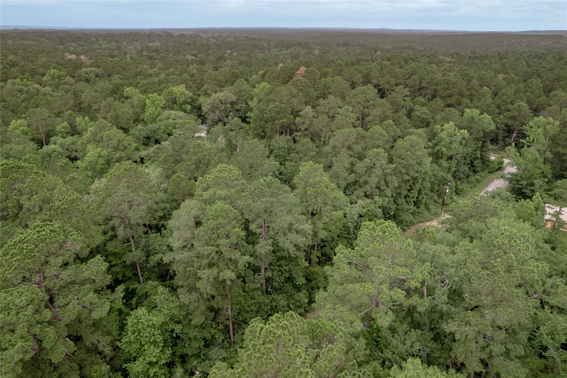 Lot 08 Oak Drive Trinity, TX 75862 - Photo 14 of 32