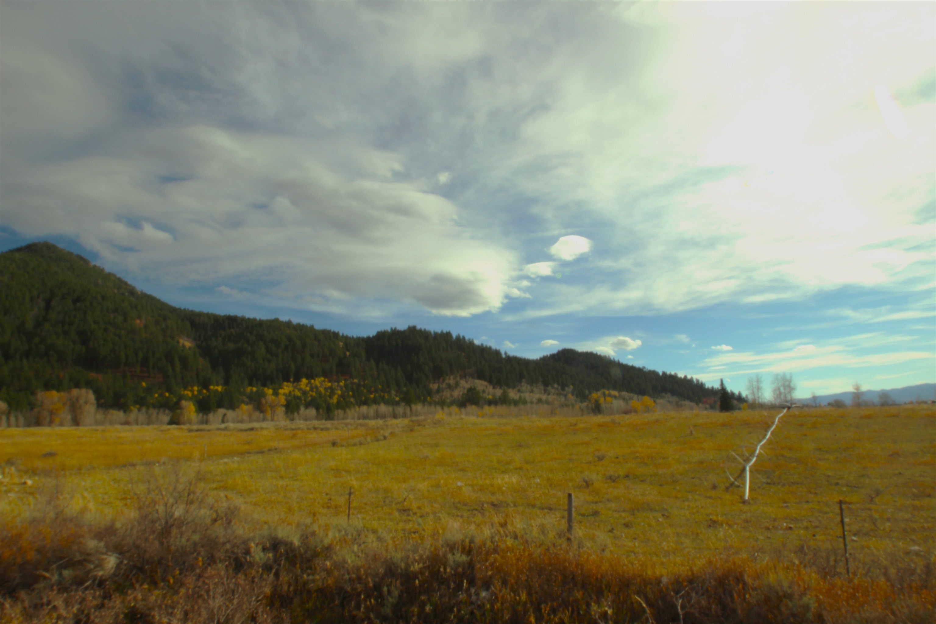 Lot 2 Stewart Trail Road Etna, WY 83118 - Photo 8 of 8